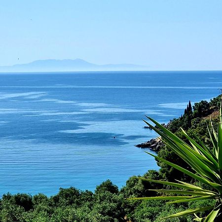 Enjoy Lichnos Bay Village, Camping, Hotel And Apartments Parga Exteriér fotografie